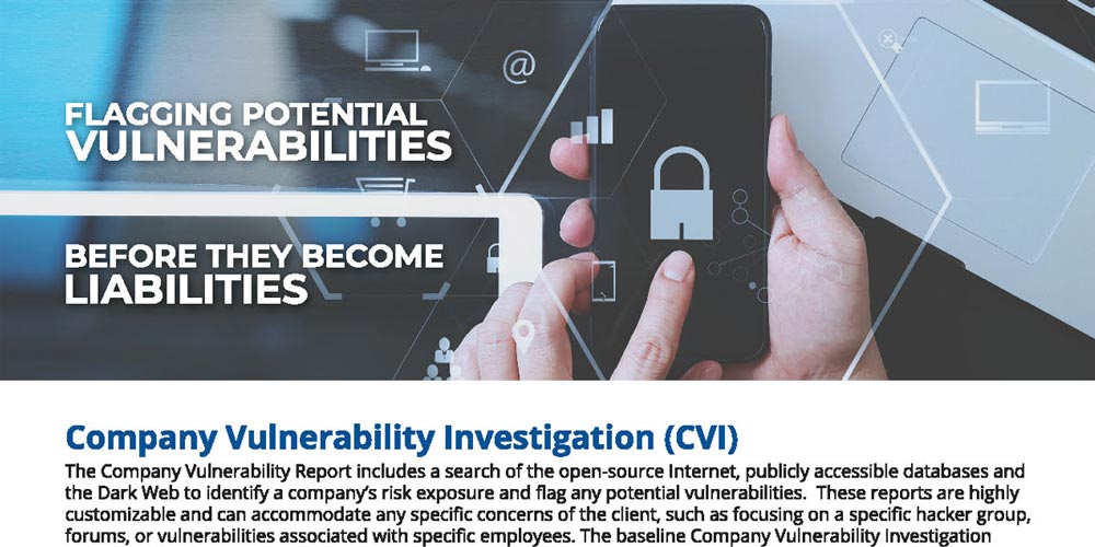 PROSINT Secure Company Vulnerability Investigations