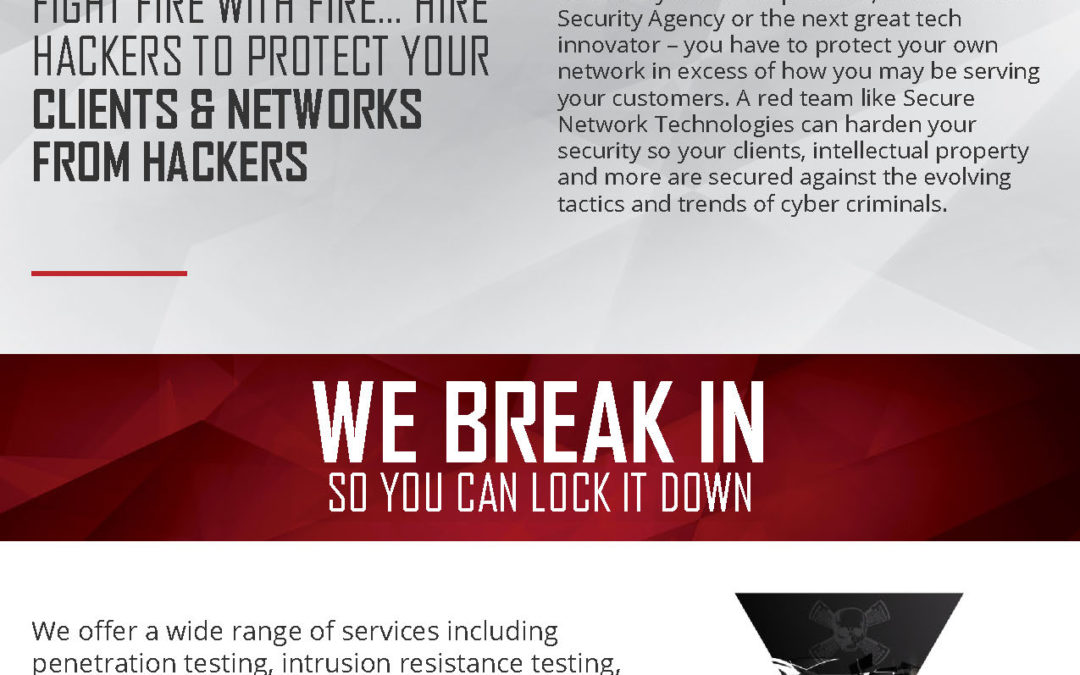 Tech Sector Digital Security Services